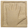 Small image of CC509 Pioneer Dark Clay