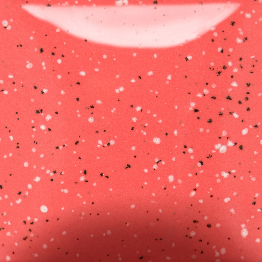 SP289 Speckled Cutie Pie Coral Stroke-&-Coat