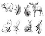 Woodland Animal Designs