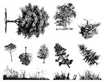 Trees & Grass Designs