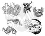 Dragon Designs